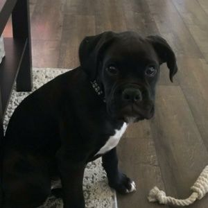 Meet your Posher, Jocelyn